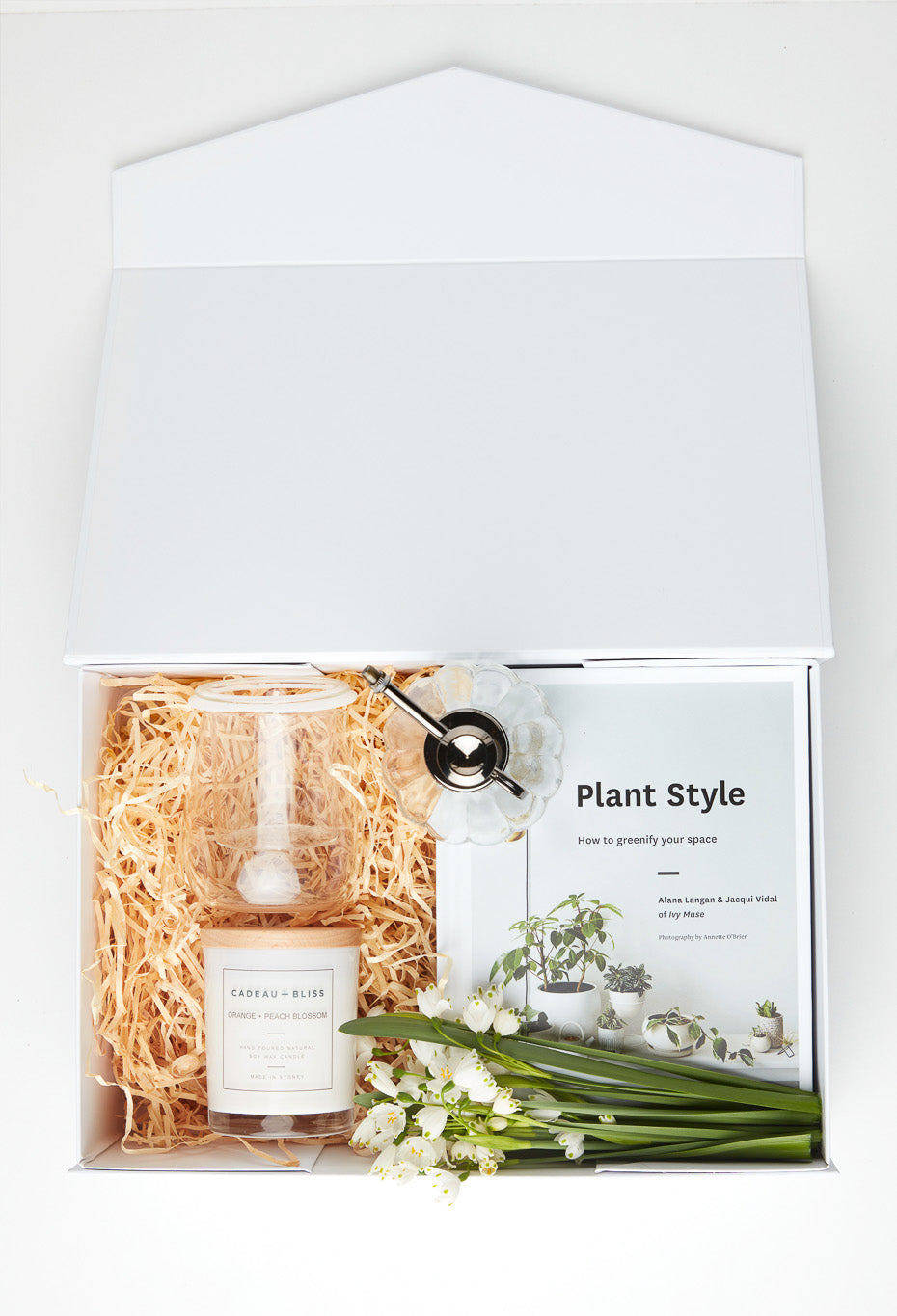Plant Style Box